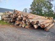 Drewno buk  kominkowe do pieca na opał 