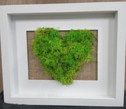 Ramka z mchem chrobotkiem