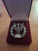 Odznaka Zasłużony Żołnierz RP II stopnia