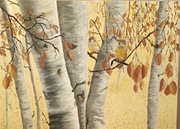 Wsrod drzew,w odcieniach bezu,pejzaz lesny 