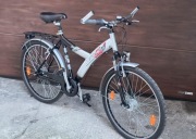 Rower miejski Pegasus 