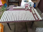 Zestaw nowych złączek, kształtek zgrzewalnych PP, PP-R, 346 elementów