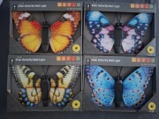 Zestaw 4 sztuki LAMPA SOLARNA OGRODOWA SCIENNA ozdobna MOTYL Solar