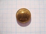 Polska moneta 1 gr grosze rok 2020