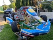 Gokart TonyKart z silnikiem ROK 60 dla dzieci 6-10 lat (do 13 lat).