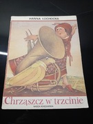 Chrząszcz w trzcinie Hanna Łochocka