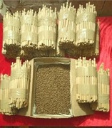 Rurki trzcina dla murarek 100 sztuk + Gratis 5%