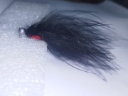 Kogut, streamer, jig