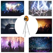 Wynajem Retro Oświetlenie Dekoracyjne DJ Wesele