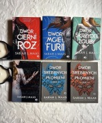Sarah Maas Dwór cierni i róż Dwór skrzydeł i zguby Dwór srebrnych płomieni