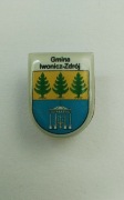 Herb gminy i miasta Iwonicz Zdrój pins przypinka 