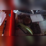 FAI AutoParts Zestaw łańcucha rozrządu seat altea 