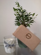 Portfel damski, beżowy! 