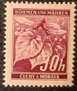 Czechoslowacja-Protektorat Czech i Moraw Mi 24 Galaz Lipy / luzak