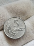 5 groszy 1949 AL ,mennicze 