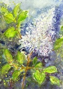 Gałązka bzu Original Akwarela 30*21cm