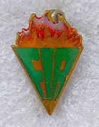 Odznaka Międzynarodowa Federacja Bojowników Oporu (FIR) NRD