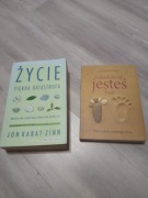 Życie piękna katastrofa + Gdziekolwiek Kabat-Zinn