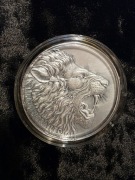 PANTHERA LEO - Expressions of Wildlife