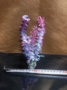 Roślinka sztuczna do akwarium  morska