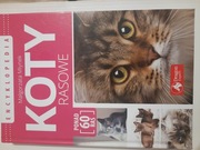 Koty rasowe encyklopedia