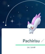 Pokemon Go Shiny Pachirisu Trade
