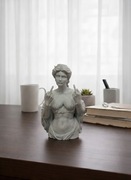 Statuetka Afrodyta marmur Śmieszny Palec Środkowy | Dekoracja | Statua