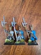 Phoenix guard , metal, oop , championi