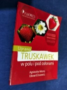 UPRAWA TRUSKAWEK w polu i pod osłonami