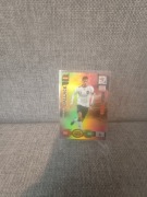 Panini world cup south africa 2010  Michael ballack  champion germany 