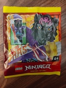 Saszetka z minifigurką LEGO Ninjago