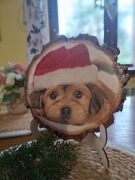 Obrazek psiak w świątecznej czapce 