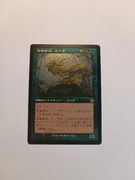 Aeve, Progenitor Ooze (V.2) MH2 Japanese Etched FOIL
