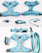 Komplet spacerowy  - 5 elementów o rozmiarze „L” i w kolorze turkusowym.