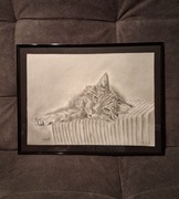 Obraz rysunek kot kotek