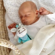 WOOPIE BABY Osiołek Piszczek