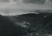 Melchior Wańkowicz Fotografia Zwęglone drzewa trawy Santa Monica Canyon