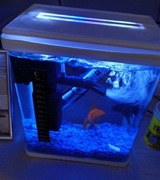 Minizestaw akwariowy 3l z oświetleniem LED i filtracją wewnętrzną biały