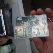 Spewpa 089/088 Pokemon perfect order HOLO full art