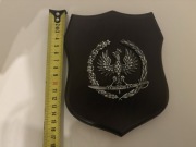 Ryngraf - SWW Polski