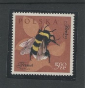 TRZMIEL Z CHORĄGIEWKĄ