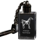 American Paint Horse brelok sześcienny