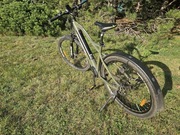 Rower Ecobike SX 300