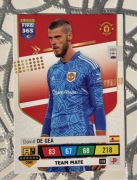 FIFA 365 (2023) | David DE GEA (118)