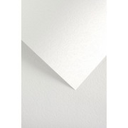 Papier ozdobny Galeria Skóra biały 230g/m2