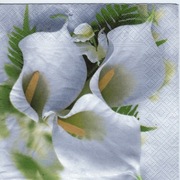 serwetka decoupage kalie