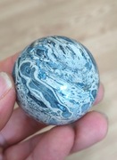 Skamieniały korzeń palmy *** kula 131,2g 46mm Indonezja