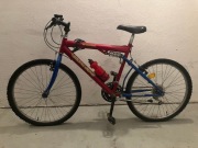 Rower Tecnobike, rama stalowa