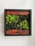 Żywy obraz z mchu i drewna– ręcznie wykonany, dekoracja ścienna, prezent