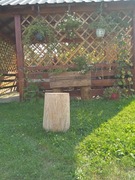 Pień dębowy pieniek dębowy dekoracyjny loft stolik klocek  wys. 45 cm